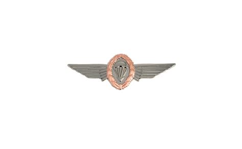 German Jump Wings Large (Bronze Wreath) – Sta-Brite Insignia Inc.