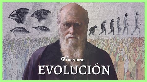 Darwin y la Evolución de los seres vivos EnTrending YouTube