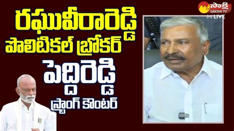 Minister Peddireddy Ramachandra Reddy Strong Counter To Raghu Veera