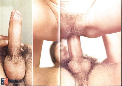 Vintage Magazines Samlet Unisex Danish ZB Porn