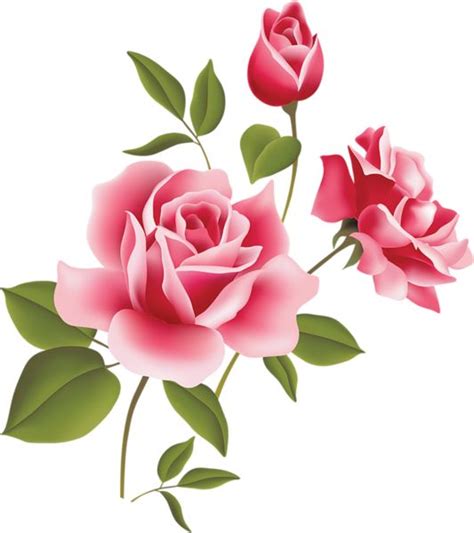 tea rose clipart   cliparts  images  clipground