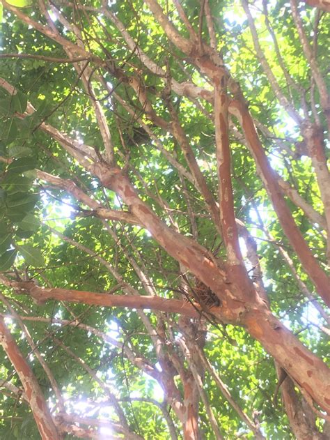 Park Forest Apartments - Home | Facebook