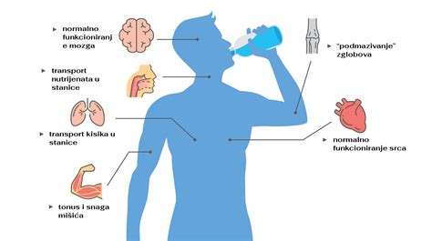 Kako Izbaciti Vodu Iz Organizma Ljekarne Dvor Ak