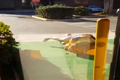Strangers Filmed Having Sex In Broad Daylight Outside Prom Queen Shop Irish Mirror Online