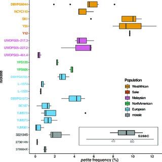 Genetic Variation Contributes To Petite Frequency Boxplots Showing