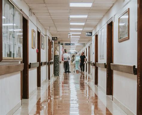 Chi Siamo Ospedale Isola Tiberina Gemelli Isola