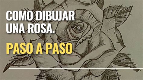 Como Dibujar Una Rosa Paso A Paso