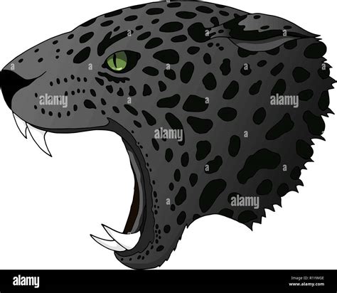 Vector Angry Panther Cougar Portrait Jaguar Predator Head Colorful