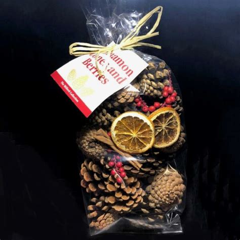 Milford Collection Scented Cinnamon Pine Cones Berries