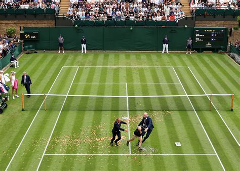 2023 Wimbledon halted after protestors throw puzzle onto court