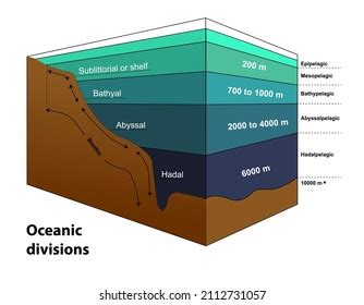 Four Major Ocean Zones