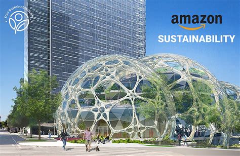 Amazon Sustainability A Comprehensive Study