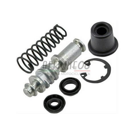 Kit Revisione Pompa Freno Per Harley Davidson Sportster Anteriore