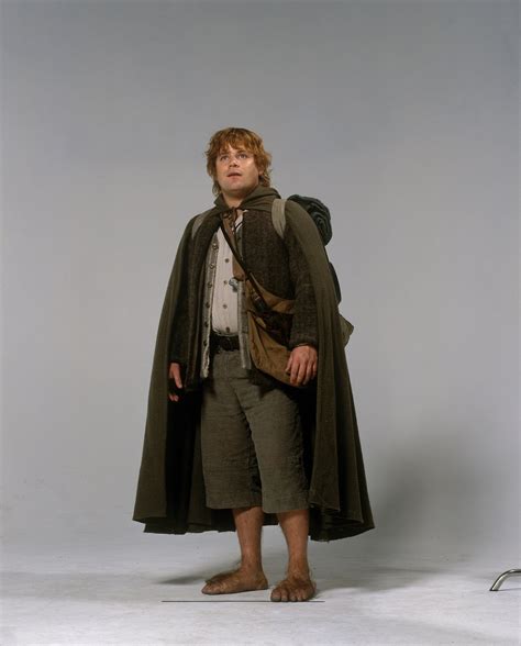 Sam Lotr TT - Lord of the Rings Photo (37618546) - Fanpop