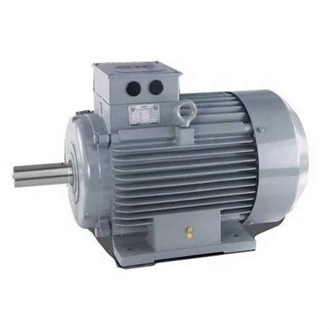 55 Kw 2 Hp Single Phase Electric Motor 1440 Rpm At Rs 5200 In Navi