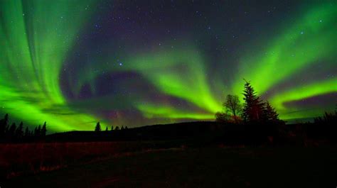 Aurora Borealis Introductory Photography Tour - Alaska Tours