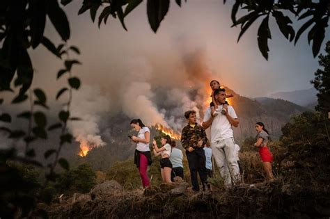 Waldbrände auf Teneriffa Flucht vor den Flammen ZEIT ONLINE