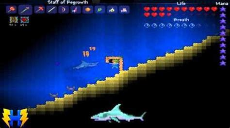 Video - Terraria Legit Shark Farming | Terraria Wiki | FANDOM powered ...