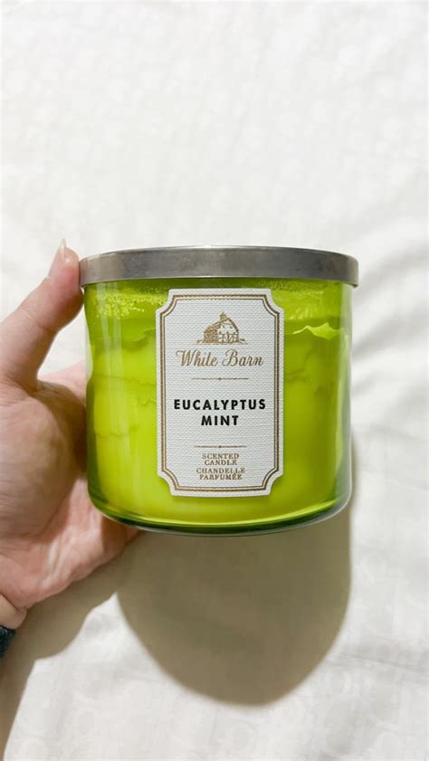 Bath Body Works BBW Candle 3 Wicks Eucalyptus Mint Kesehatan