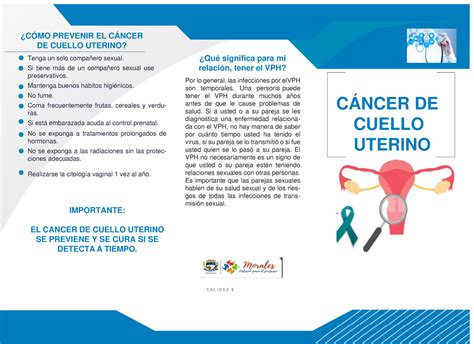 Folleto Prevencion Cancer De Cuello Uterino C Mo Prevenir El C Ncer