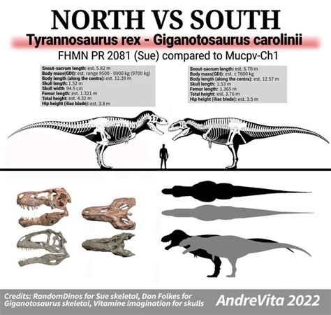 Giganotosaurus Vs Carcharodontosaurus Size