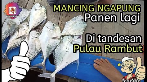 Mancing Ngapung Panen Lagi Di Tandesan Pulau Rambut YouTube