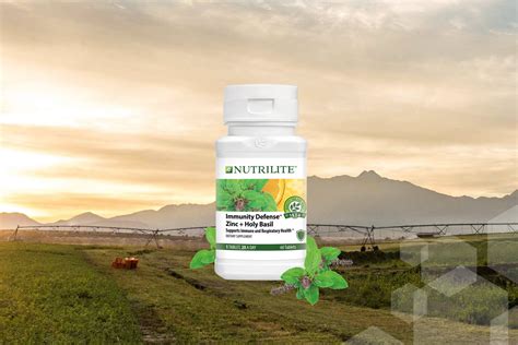 Dinh D Ng H Tr Ch Ng T Ng C Ng S C Kh E Nutrilite Vietnam