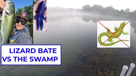 HOW TO BASS FISH IN A WEEDY LAKE YouTube