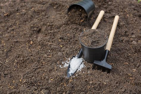 Free Photo Close Up Picture Of Garden Equipment Put On Soil