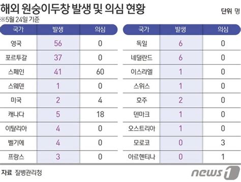 정부 원숭이두창 전파력 높지 않아너무 불안해할 필요 없어종합 네이트 뉴스