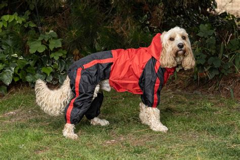 Waterproof Dog Coats :: UK Dog Coat Specialists :: Treat Your Dog