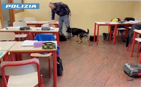 Nelle Scuole Di Como Arriva Athena Il Cane Anti Droga Della Polizia