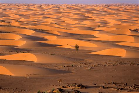 El Ojo Del Sáhara Mauritania Horitzon