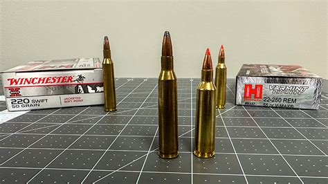 .220 Swift | Varmint and Small Game Powerhouse round?