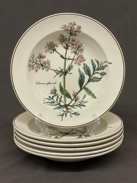 Villeroy Boch Soup Plates 6 Porcelain Botanica Catawiki