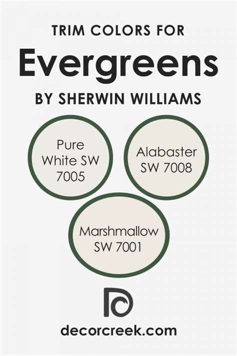 Evergreens SW 6447 Paint Color Sherwin Williams