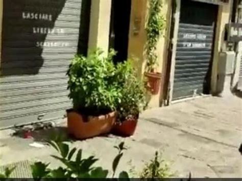 Omicidio Alla Vucciria Di Palermo Tre Fermati Un Pestaggio E Lo