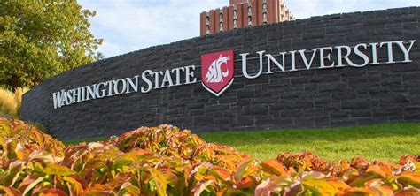 Washington State University