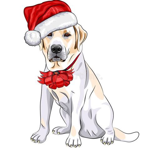 Adorable Labrador Puppy Wearing Santa Hat