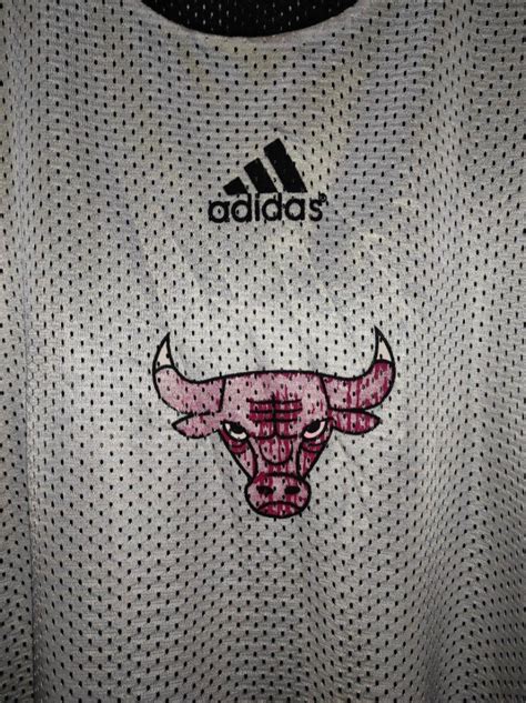 NBA Chicago Bulls X Adidas Barang Mewah Pakaian Di Carousell