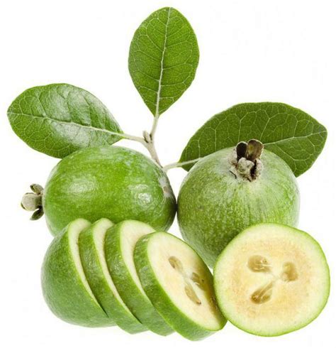 Propriedades úteis da feijoa Como comer a fruta