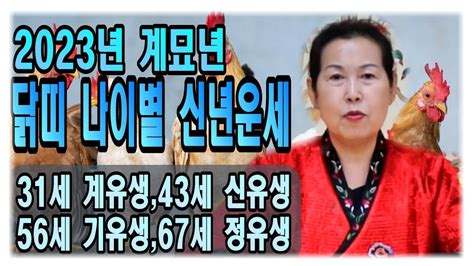 2023년 신년운세 계묘년 닭띠 신년운세 나이별운세 31세43세56세67세 영점신점삼재재물운부동산