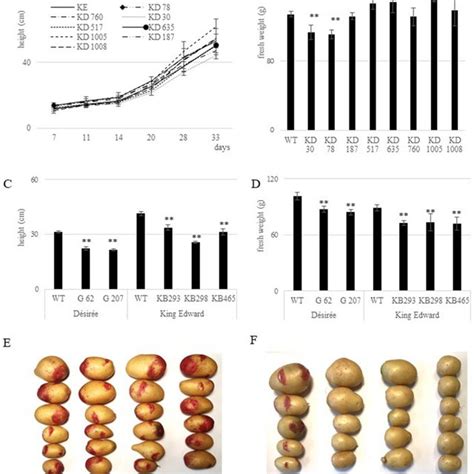 Pdf Mutations Introduced In Susceptibility Genes Through Crisprcas9 Genome Editing Confer