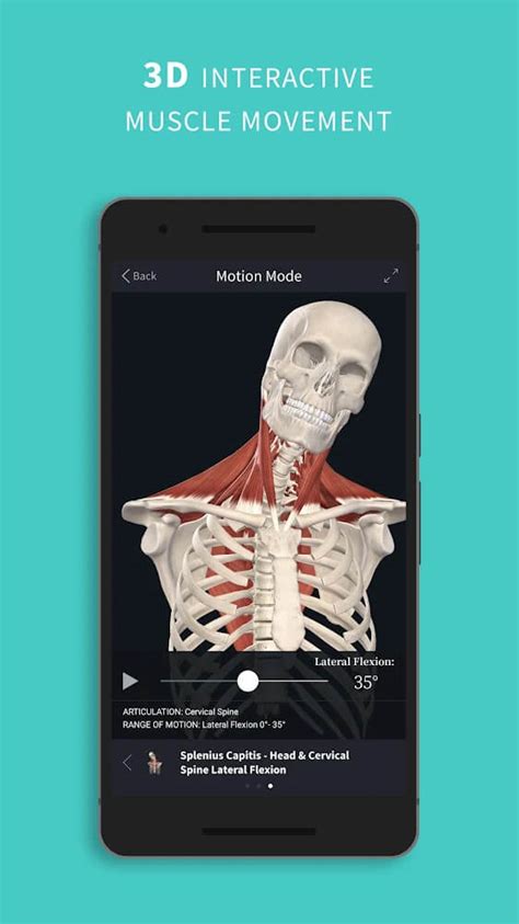 Complete Anatomy 2022 V8 0 1 Apk Obb Download For Android