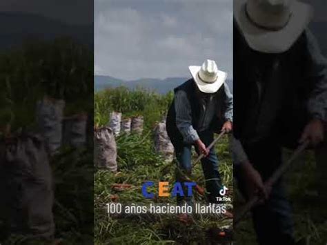 Descubre Por Qu La Agricultura Es La Profesi N Del Sabio Una Mirada