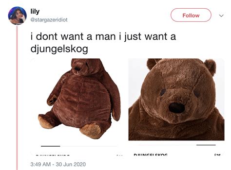 i dont want a man i just want a djungelskog | IKEA DJUNGELSKOG Bear | Know Your Meme