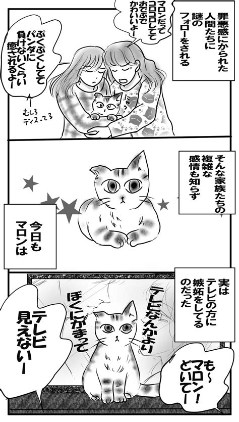 【ねこ漫画】浮気のフォロー 【ねこ漫画】マロンと愉快な仲間たち