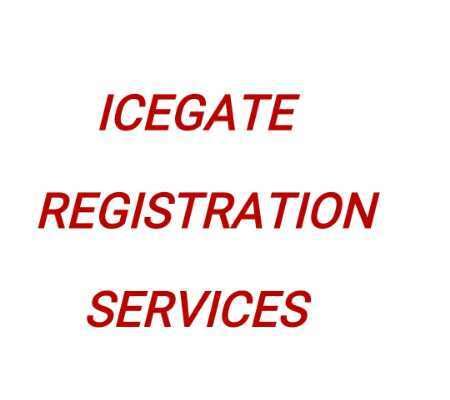 Icegate Registration Service at Best Price in Mumbai, Maharashtra ...