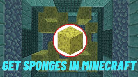 How To Get Sponges In Minecraft Nov Ricky Spears