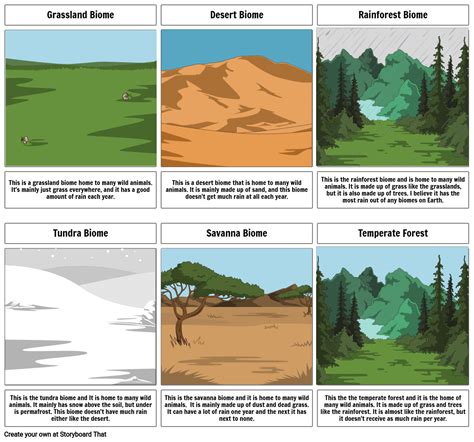 Temperate Forest Biome Animals